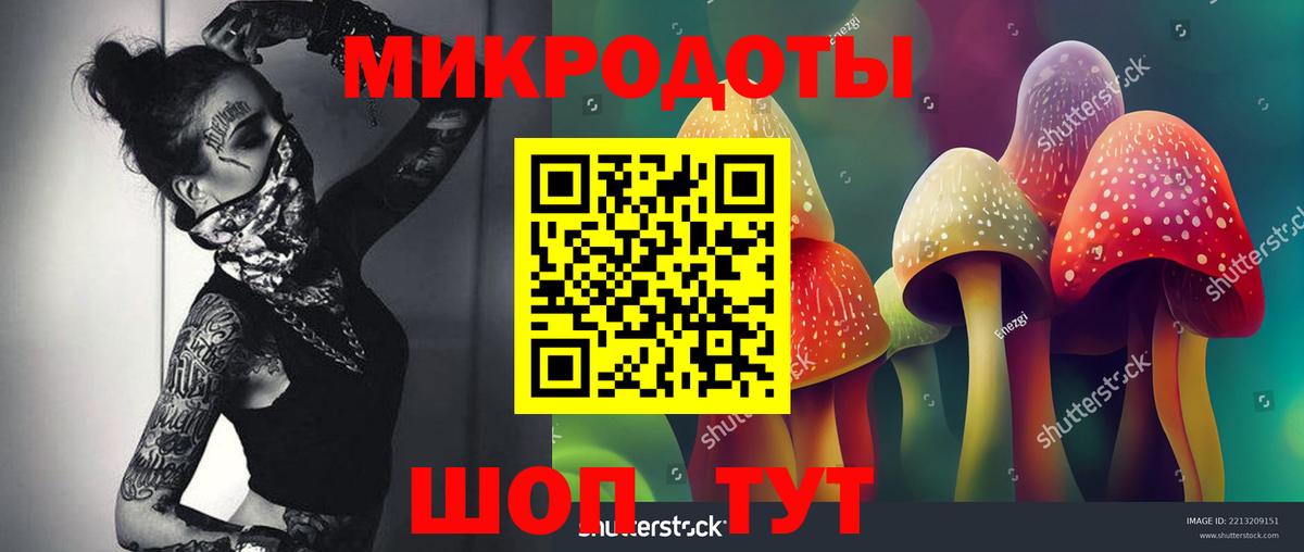 Псилоцибиновые грибы Psilocybine cubensis Аргун